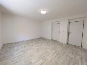 Pronájem bytu 1+1, Karlovy Vary - Stará Role, Závodu míru, 54 m2