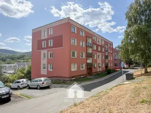 Prodej bytu 1+1, Jílové, 36 m2