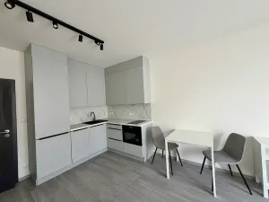 Pronájem bytu 1+kk, Praha - Vysočany, Gerstelova, 36 m2