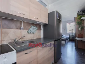 Prodej bytu 1+kk, Teplice - Trnovany, Krušnohorská, 32 m2