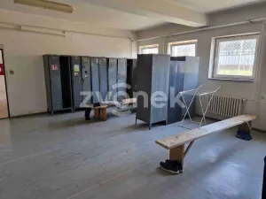 Pronájem komerční nemovitosti, Kunovice, Na Záhonech, 115 m2