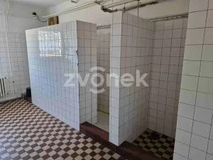 Pronájem komerční nemovitosti, Kunovice, Na Záhonech, 115 m2