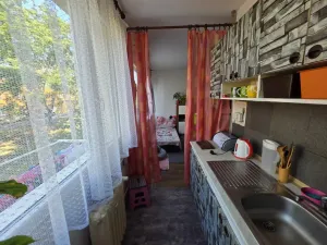 Prodej bytu 1+1, Most, K. H. Borovského, 26 m2