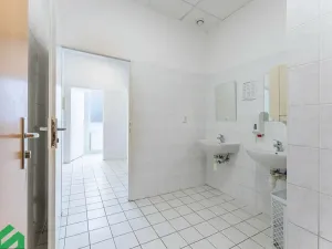 Pronájem kanceláře, Praha - Strašnice, V olšinách, 18 m2
