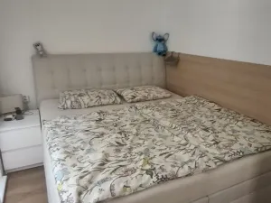 Pronájem bytu 3+1, Olomouc, Janského, 63 m2