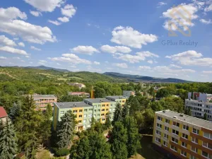 Prodej bytu 1+1, Bílina - Pražské Předměstí, Fügnerova, 34 m2