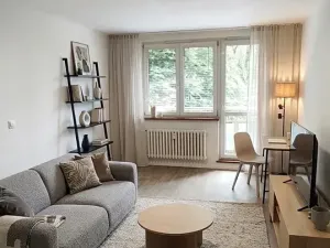 Pronájem bytu 1+kk, Ostrava, Gen. Píky, 29 m2