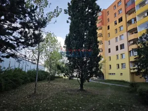 Pronájem bytu 1+1, České Budějovice - České Budějovice 2, N. Frýda, 42 m2