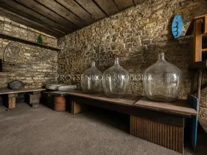 Prodej rodinného domu, Dolní Dunajovice, Hlavní, 244 m2