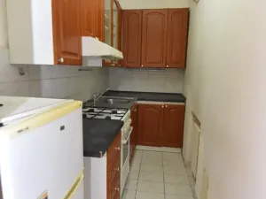 Pronájem bytu 1+kk, Praha - Vysočany, Freyova, 56 m2
