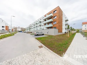 Pronájem bytu 1+kk, Olomouc, Třída Jiřího Pelikána, 33 m2