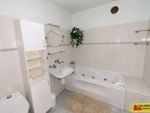 Prodej rodinného domu, Práče, 224 m2