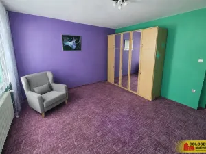 Prodej rodinného domu, Práče, 224 m2