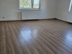 Pronájem rodinného domu, Velká Polom, Osvoboditelů, 300 m2