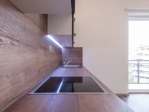 Pronájem bytu 1+kk, Plzeň, Pod Záhorskem, 447 m2