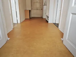 Pronájem bytu 2+kk, Brno - Veveří, Sušilova, 56 m2