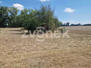 Prodej pozemku pro bydlení, Veselí nad Moravou, Topolová, 598 m2