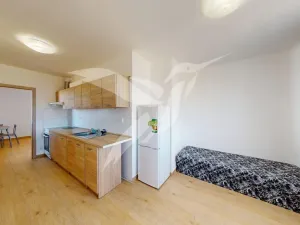 Pronájem bytu 2+1, Dnešice, Dnešice, 49 m2