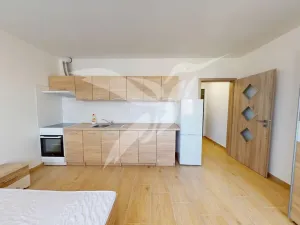 Pronájem bytu 1+kk, Dnešice, Dnešice, 25 m2