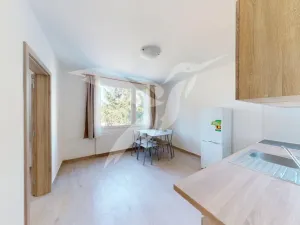 Pronájem bytu 3+kk, Dnešice, Dnešice, 44 m2