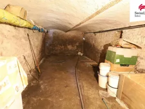 Prodej vícegeneračního domu, Telč - Telč-Podolí, Tyršova, 432 m2