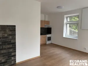 Pronájem bytu 1+kk, Dolní Poustevna, Karlínská, 35 m2