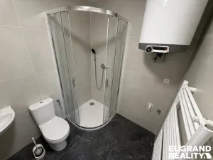 Pronájem bytu 1+kk, Dolní Poustevna, Karlínská, 35 m2