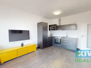 Pronájem bytu 2+kk, Ostrava, Důlní, 55 m2