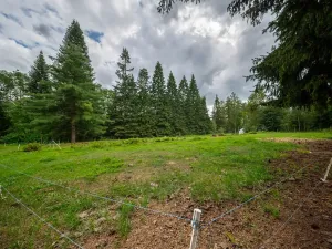 Prodej pozemku pro bydlení, Kamenice nad Lipou, 4988 m2