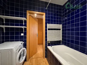 Pronájem bytu 1+kk, Brno, Kristenova, 58 m2