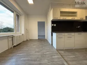 Pronájem bytu 3+1, Bílina - Teplické Předměstí, Sídliště Za Chlumem, 71 m2