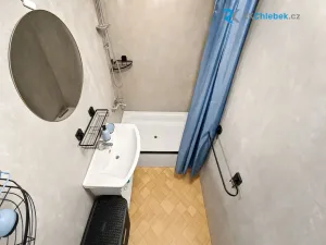 Pronájem bytu 1+1, Ostrava, Senovážná, 38 m2