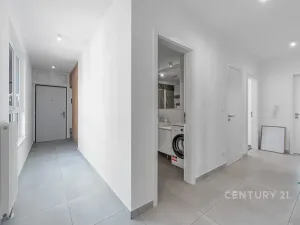 Prodej bytu 4+kk, Praha - Žižkov, Olgy Havlové, 100 m2
