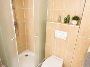 Pronájem bytu 1+1, Olomouc, Ztracená, 35 m2