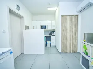 Prodej kanceláře, Břeclav, Národních hrdinů, 156 m2