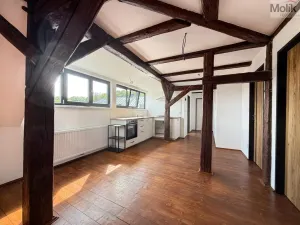 Pronájem bytu 3+kk, Osek, Tovární, 54 m2