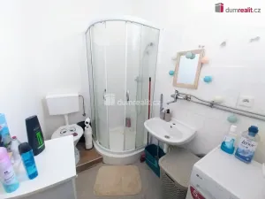 Pronájem bytu 1+kk, Veselí nad Moravou, Hutník, 30 m2