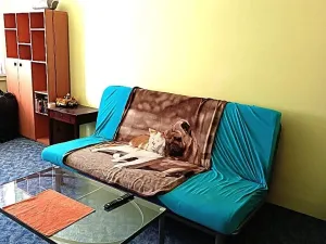 Pronájem bytu 1+kk, Brno, Cihlářská, 28 m2