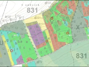 Prodej lesa, Hromnice - Chotiná, 41358 m2