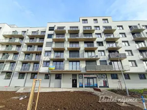 Pronájem bytu 1+kk, Brno, Střední, 29 m2
