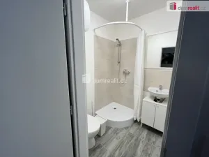 Pronájem bytu 1+kk, Kačice, K zahradě, 18 m2