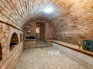 Prodej - jiné, Hrušovany nad Jevišovkou, 84 m2