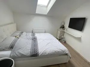 Pronájem bytu 3+1, Brno, Bratislavská, 106 m2