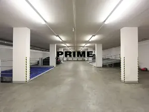 Pronájem bytu 6+kk a větší, Praha - Vinohrady, Chopinova, 204 m2