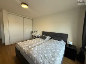 Pronájem bytu 3+kk, Most, Mátová, 89 m2