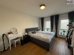 Pronájem bytu 3+kk, Most, Mátová, 89 m2