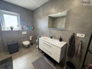 Pronájem bytu 3+kk, Most, Mátová, 89 m2