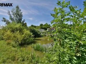 Prodej rodinného domu, Velký Třebešov, 55 m2