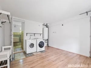 Prodej zemědělské usedlosti, Medonosy, 200 m2