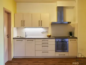 Pronájem bytu 1+kk, Olomouc, Sokolovská, 51 m2